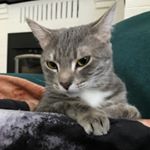 Profile Picture of Sammy Concepcion (@sammy.concepcion) on Instagram