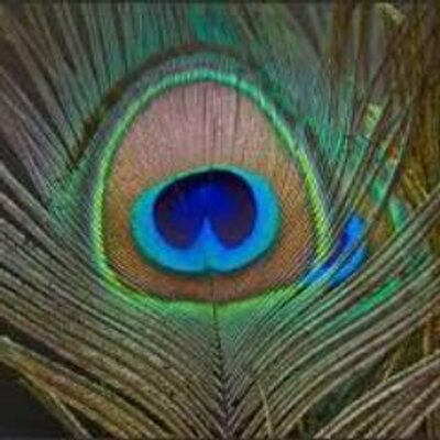 Profile Picture of Abdullah Aydin (@Abdullahaydin06) on Twitter