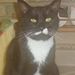 Profile Picture of Dee Jones-Roberts (@coastlgrl) on Pinterest