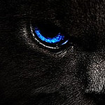 Profile Picture of Andy Long (@tue.jun.7.1994) on Flickr