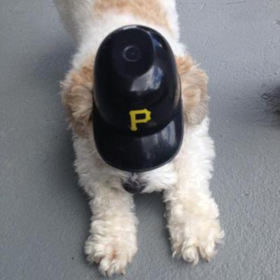 Profile Picture of Paula Stinson (@pittfan29_paula) on Twitter