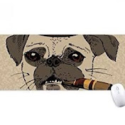 Profile Picture of Hill's Dog (@hillsdog1592) on Youtube