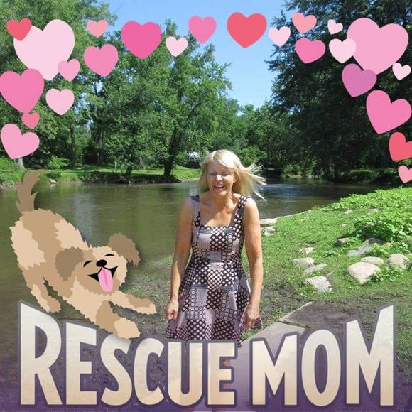 Profile Picture of Bonnie Wisowaty (@bookgirl1861) on Poshmark