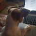 Profile Picture of James Hutch Hutchins (@james.h.hutchins) on Facebook