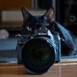 Profile Picture of チョモ (@chomographer) on Instagram