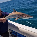 Profile Picture of Daniel Spry (@daniel.spry.587) on Instagram