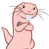 Profile Picture of Cecily (@cecily_ma) on Tiktok