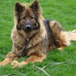 Profile Picture of Jane Stuart-Bauer (@janestuartbauer) on Instagram