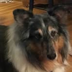 Profile Picture of Doris Basham (@doris.basham.94) on Facebook