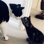 Profile Picture of Lupé and Luna (@lupeandluna) on Instagram