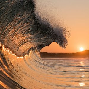 Adam Jaworowski - Tiktok Profile Picture of Adam Jaworowski (@adam_jaworowski) on Tiktok