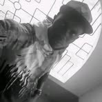 Profile Picture of Andrea Gibbs (@Andrea-Gibbs) on Facebook