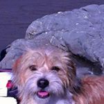 Profile Picture of Robin Bartlett (@robin.bartlett.79) on Instagram