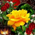 Profile Picture of Indira Chatterjee (@indira.chatterjee.56232) on Instagram