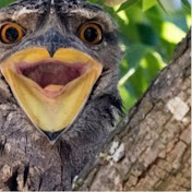 Profile Picture of Brandy Conner (@BrandyConner-sz4og) on Youtube