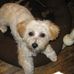 Profile Picture of Patricia Tittle (@patricia.tittle.33) on Facebook