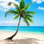 Profile Picture of James Seibel (@seibelj8.14) on Instagram