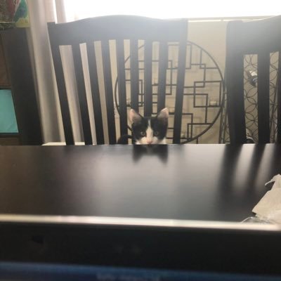 Profile Picture of Joseph Weaver (@weaver_joseph) on Twitter