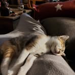 Profile Picture of Hubert Kuiper (@hubert.kuiper) on Facebook