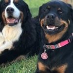 Alexander Lanham - Instagram Profile Picture of Alexander Lanham (@alx_lnhm132) on Instagram