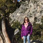 Profile Picture of Marianne Wright (@meroy.2014) on Instagram