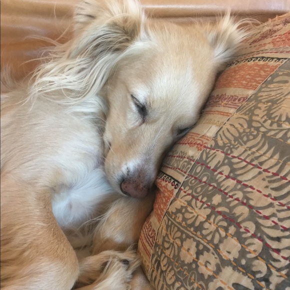 Profile Picture of Sierra Keylin (@sierragoldie) on Poshmark