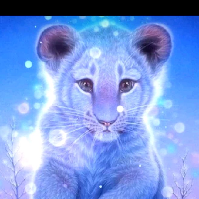 Profile Picture of Tonyso (@tiktoktonyso) on Tiktok