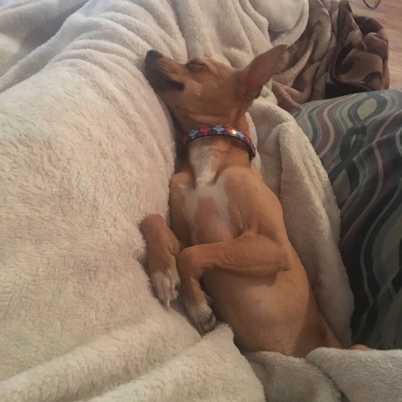 Profile Picture of Mandy Perkins (@mandy_0022) on Poshmark