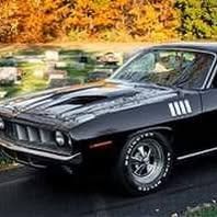 Profile Picture of Richard Forbes (@richard.forbes92) on Tiktok