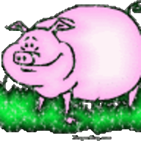 Profile Picture of Sterling Badner (@sterlingbadner) on Poshmark