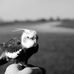 Profile Picture of Charles Á Viator (@charles.aviator) on Facebook