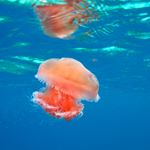 Friedrich Schindelhauer - Instagram Profile Picture of Friedrich Schindelhauer (@friedrich.schindelhauer) on Instagram