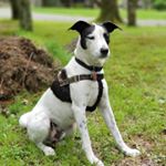 Profile Picture of John Fischer (@fischerjohn2) on Instagram