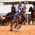 Profile Picture of André Mayer (@andremed.vet) on Instagram