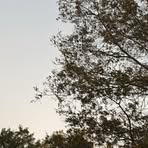 Profile Picture of Kristin Fields (@Kristin-Fields) on Facebook