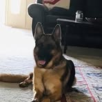 Profile Picture of Bill Schabel (@bill.schabel.1) on Facebook