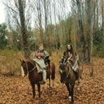 Profile Picture of John Wilkins (@john_wilkins_a) on Instagram