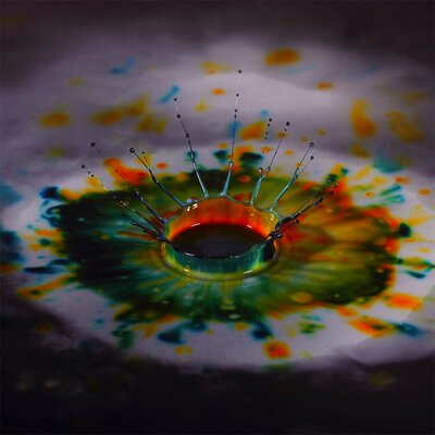 Profile Picture of Peter Den Hartog (@pddenhar) on Twitter