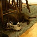 Profile Picture of Terry Mactavish (@terrymactavish) on Instagram