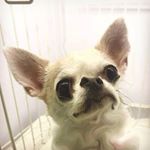 Profile Picture of 暉常無聊的Jason (@huichangwuliaodejason) on Instagram