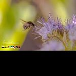 Profile Picture of letitia_edwards2 (@letitia_edwards2) on Instagram