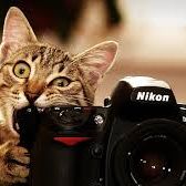 Profile Picture of michaela mitchell (@michaelamit0043) on Pinterest