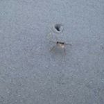 Profile Picture of Nicolas Porter (@nicolas.porter.336) on Instagram