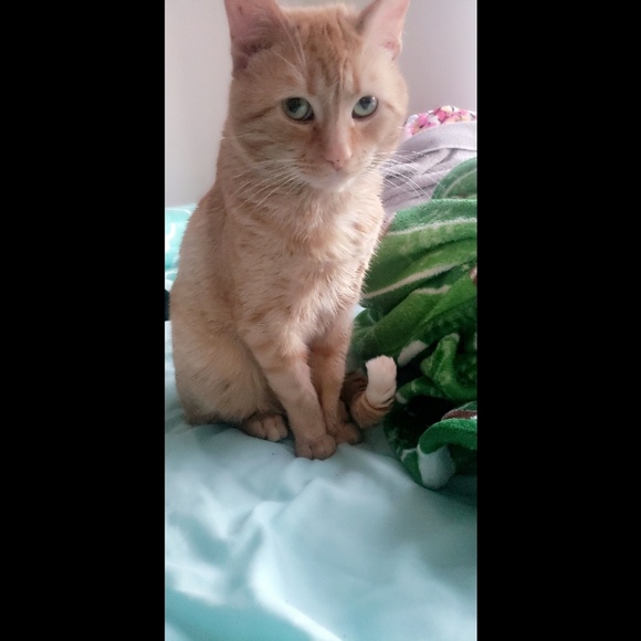 Profile Picture of Bobi Maggard (@bmaggard14) on Poshmark