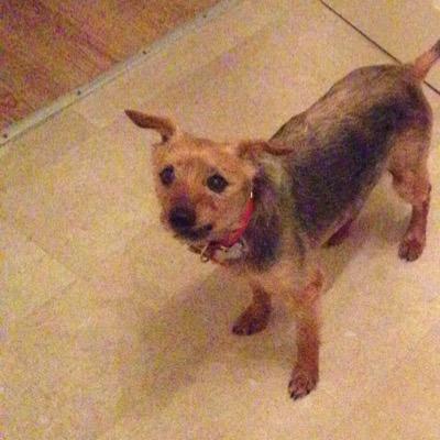 Steven Harrigan - Twitter Profile Picture of Steven Harrigan (@StevenHarrigan2) on Twitter