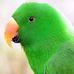 Profile Picture of Jd Warcha (@Jd-Warcha) on Facebook