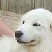 Profile Picture of Josephkapusta (@josephkapusta) on Pinterest