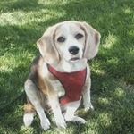 Profile Picture of Judy Tijsseling (@tijsseling) on Instagram