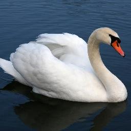 Profile Picture of Anne Biggs (@philomena23bb) on Twitter