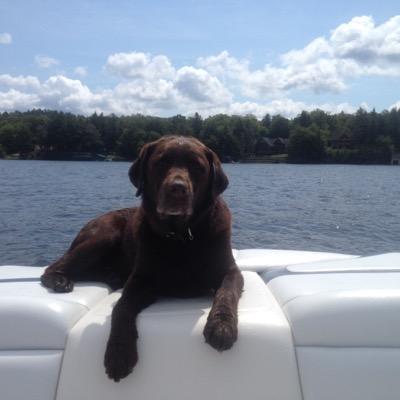 Profile Picture of Chris Ebmeyer (@ChrisEbmeyer) on Twitter